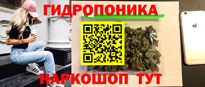 индика Ирбит