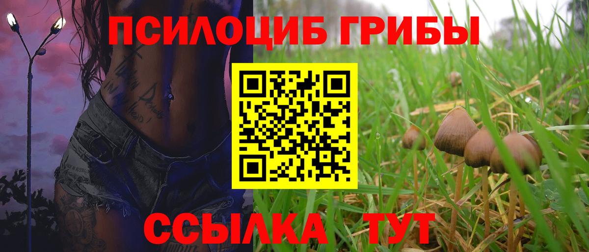Тюмень  Галлюциногенные грибы ЛСД  Вход с VPN 